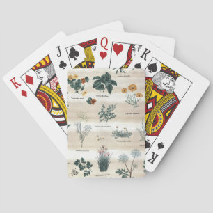 Kräuter Pflanze Blume Spielkarten