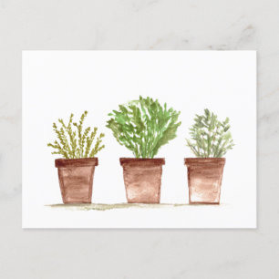 Kräuter Salbei, Rosmarin, Thymian Garten Postkarte
