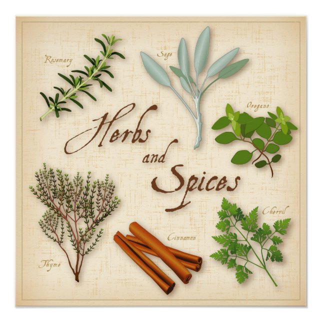 Kräuter und Gewürze, Rosmarin, Sage, Thyme, Zimt Poster (Vorderseite)