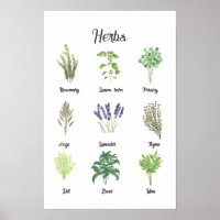 Kräuter Wasserfarbensage Thyme Rosemary Küche