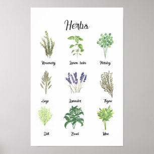 Kräuter Wasserfarbensage Thyme Rosemary Küche Poster