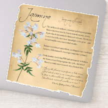 Kräuterapothecary: Jasmine | Botanischer Aufkleber