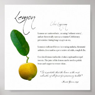Kräuterapothekar: Lemon   Value Paper Poster