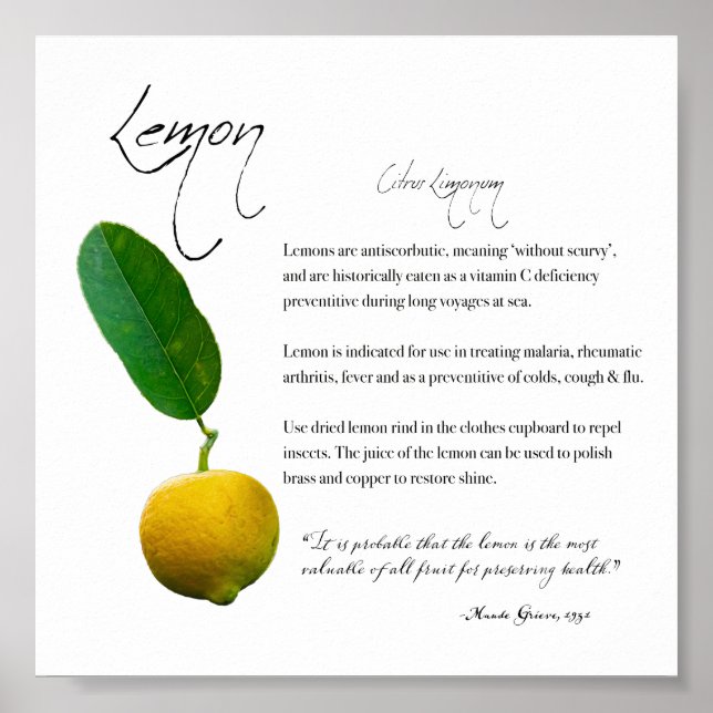Kräuterapothekar: Lemon | Value Paper Poster (Vorne)