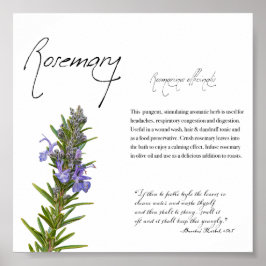 Kräuterapothekar: Rosemary | Botanisches Poster