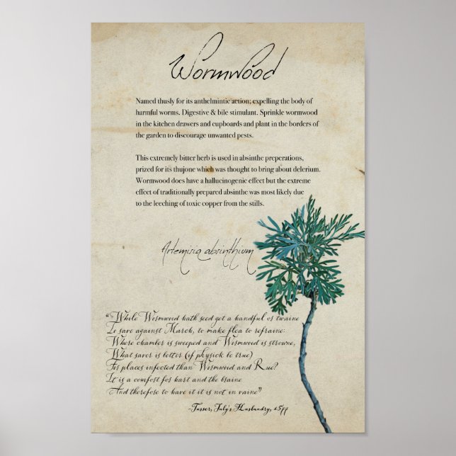 Kräuterapothekar: Wormwood | Großes Poster (Vorne)