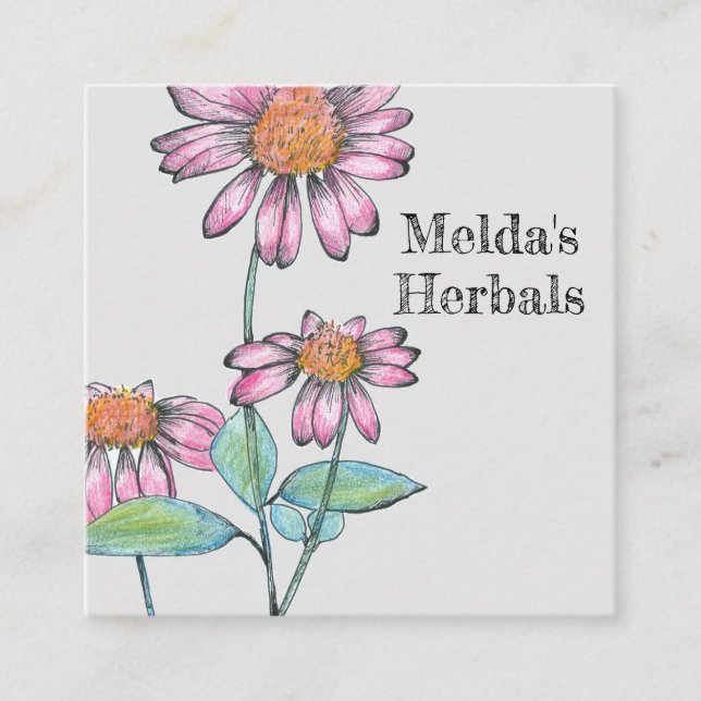 Kräuterkraut Echinacea Quadratische Visitenkarte (Vorderseite)