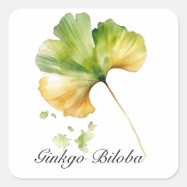 Kräuterleben: Ginkgo Biloba Blatt anpassbar Quadratischer Aufkleber