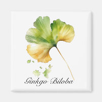 Kräuterleben: Ginkgo Biloba-Blattwasserfarbe