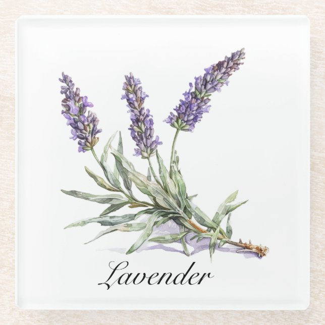 Kräuterleben: Lavendel, anpassbar Glasuntersetzer (Vorderseite)