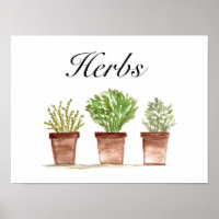 Kräuterpflanzen Thyme Rosemary Parsley Pflanze