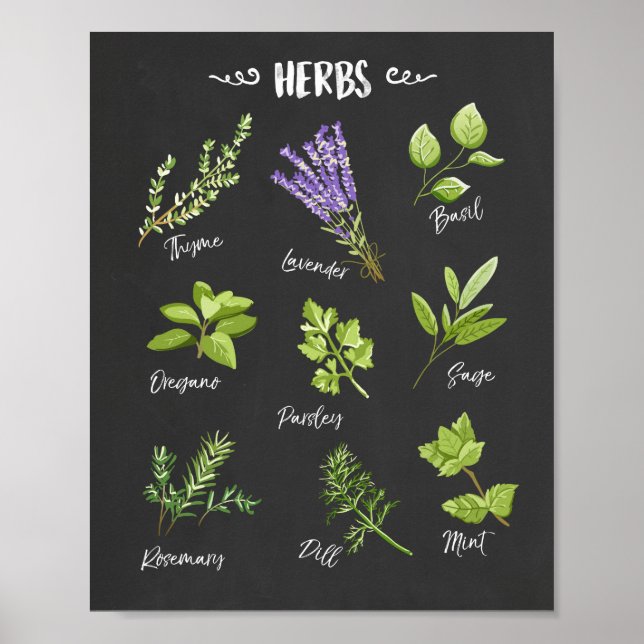 Kräuterprint Kräuterkunde Küche Kunst Küche Küche  Poster (Vorne)