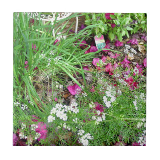 Krautsammlungsschnittlauch-Fotografiekunst Fliese