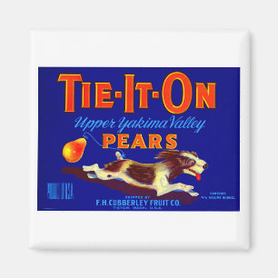 Krawatte-it-On-Birnen Magnet