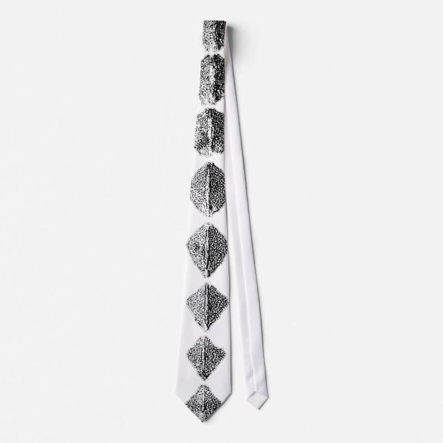 Krawatte Necktie - SCUTES Sturgeon Huge (Vorderseite)