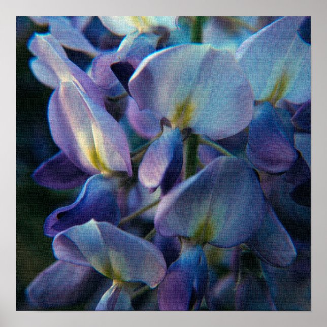 Kreationen-Poster Poster (Vorne)