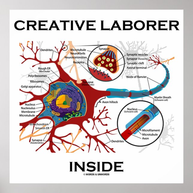 Kreatives Laboratorium im Inneren (Neuron/Synapse) Poster (Vorne)