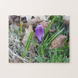 Kreatives Landschafts-Blumen-Foto-Puzzle