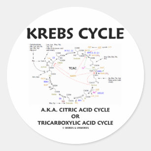Krebs Cycle A.K.A. Citric Acid Cycle Tricarbonat Runder Aufkleber