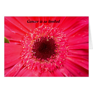 Krebs ist so begrenzt