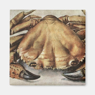 Krebs (Kreatur unter dem Meer) (von Albrecht Durer Magnet