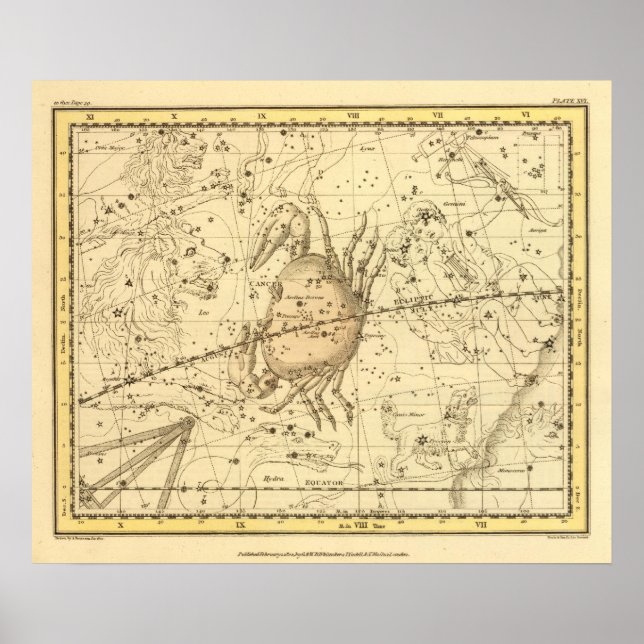 Krebs Poster (Vorne)