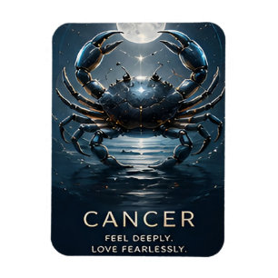 Krebs Sternzeichen Krebstier Himmels Astrologie Sy Magnet