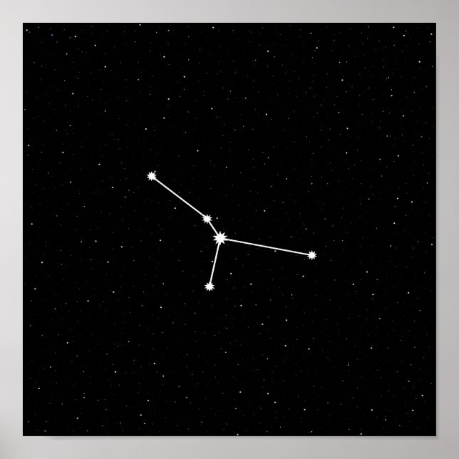 Krebs Zodiac-Konstellation Moderne Schwarz & Weiß Poster (Vorne)