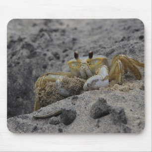Krebse, Krebse, Sand Mousepad