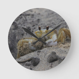 Krebse, Krebse, Sand Runde Wanduhr