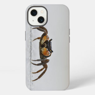 Krebse, Tiere, Krebstiere iPhone Hülle