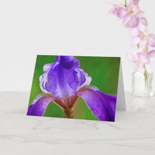 Krebserkrankung und Risikounterstützung Karte (Orchidee)