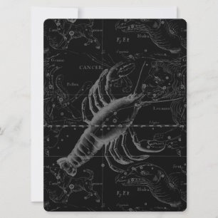 Krebskonstellation Hevelius 1690 Dekor