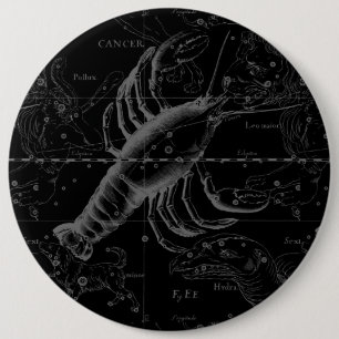 Krebskonstellation Hevelius 1690 Dekor Button