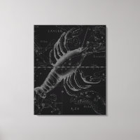 Krebskonstellation Hevelius 1690 Dekor