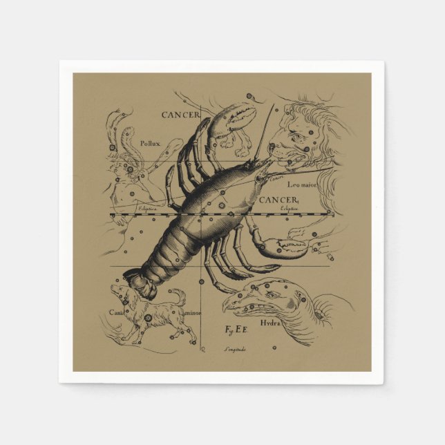 Krebskonstellation Hevelius 1690 Engaving Serviette (Vorderseite)