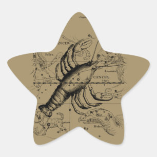 Krebskonstellation Hevelius 1690 Engaving Stern-Aufkleber