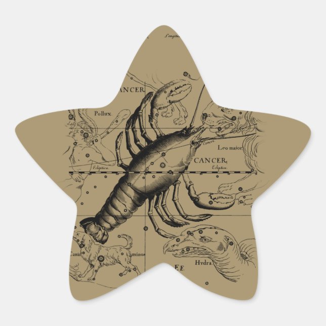 Krebskonstellation Hevelius 1690 Engaving Stern-Aufkleber (Vorderseite)