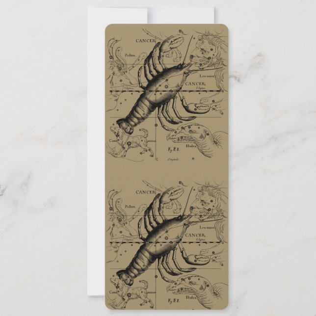 Krebskonstellation Hevelius 1690 Juni 21-Juli 22 (Vorderseite)