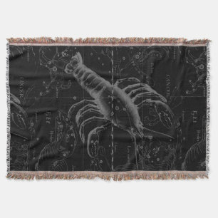 Krebskonstellation Karte Black Hevelius circa 1690 Decke