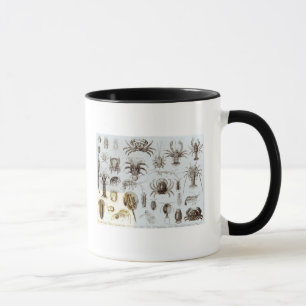 Krebstier und spinnenartige Tiere Tasse