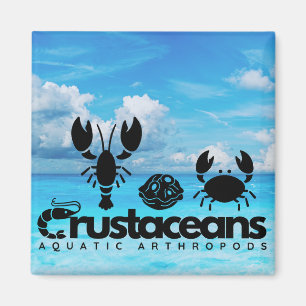 Krebstiere - Wasserarme Arthropoden Magnet