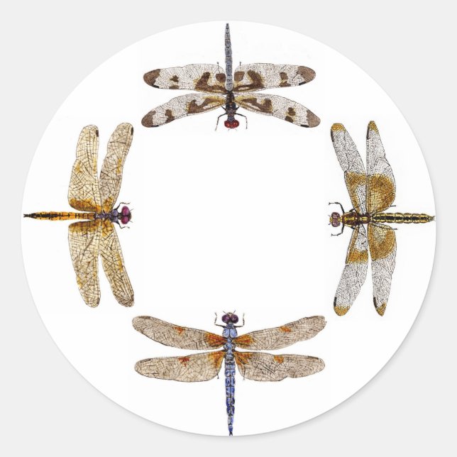 Kreis der Aufkleber für Libellen (Vorderseite)