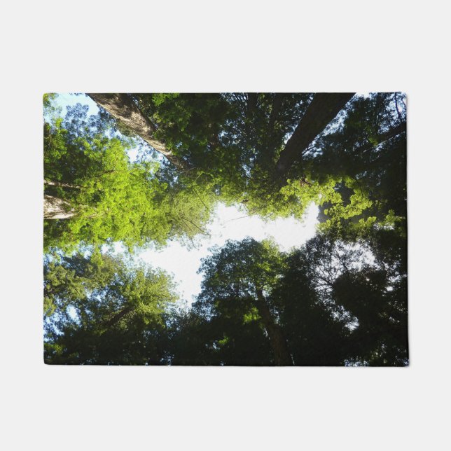 Kreis der Redwood-Bäume im Redwood-Nationalpark Fußmatte (Vorderseite)