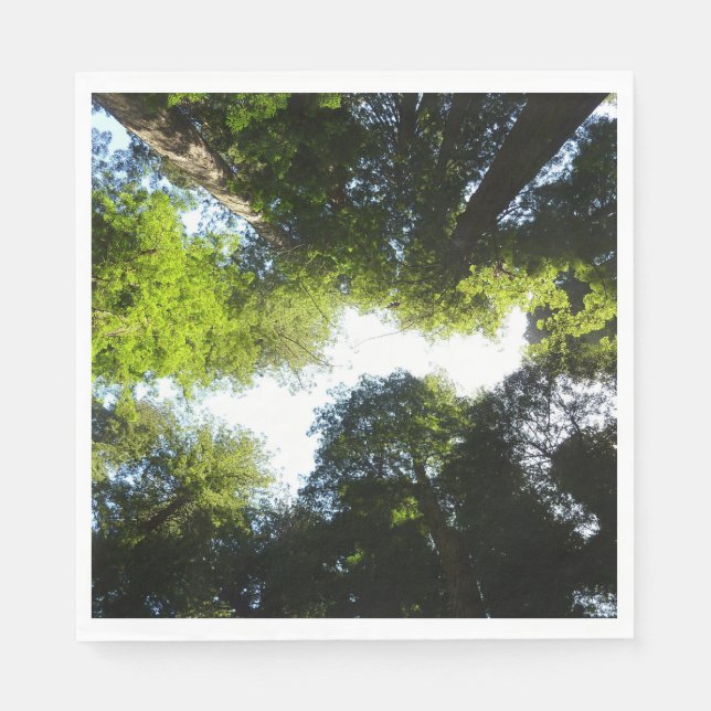 Kreis der Redwood-Bäume im Redwood-Nationalpark Serviette (Vorderseite)