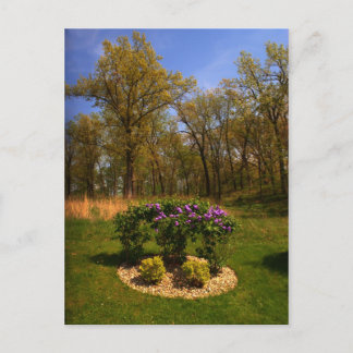 Kreis der Schönheitskarte Postkarte