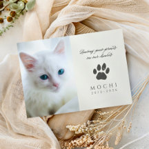 Krempfotenspuren auf unseren Herzen Katzen Gedenks