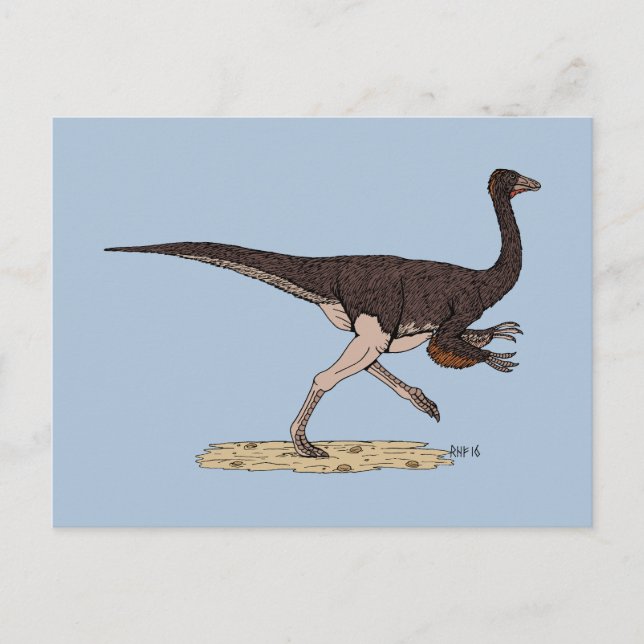 Kretakischer Dinosaurier Ornithomimus Postkarte (Vorderseite)
