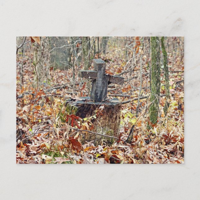 Kreuz im Wald Postkarte (Vorderseite)