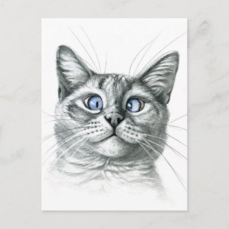 Kreuz Mit Augen Katze G122 Postkarte